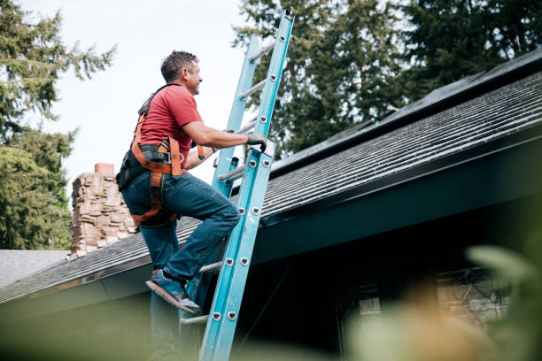 Best Sheet Metal Roofing  in Gananda, NY